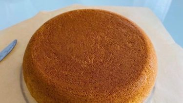 朝活は１日の元気の源！！（2020.08.25）