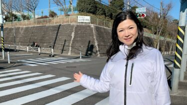 ピカピカの小学新1年生を安全な通学路で迎えるために！（2021.02.20）