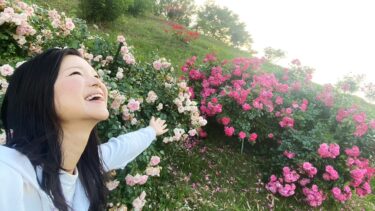 夕暮れの陽射しとバラの香りに癒しを求めて（2021.05.25）