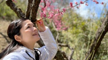 寺家町らしい、侘び寂びのある梅林に春の訪れを感じ（2022.03.10）