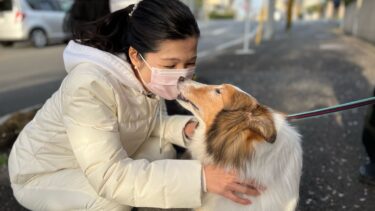 動物とのふれ合いは心身の健康の源！（2022.04.28）