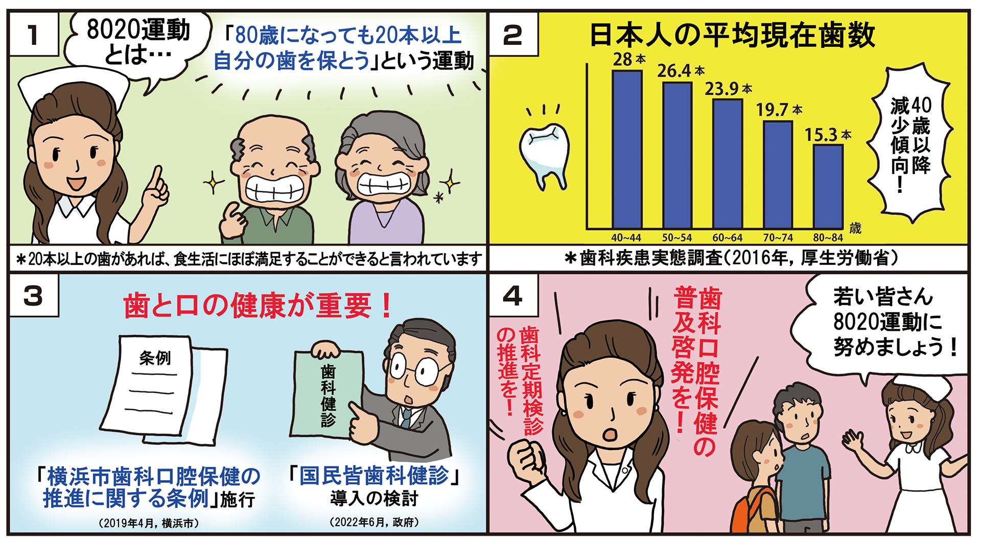 vol.27 若い世代から積極的に8020運動を！／市政レポート発行（2022.08