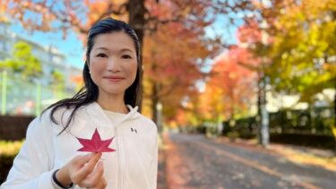 紅葉ロードで旅行気分！（2022.12.15）