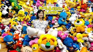 期間限定！横浜のスィーツなどうぶつLAND！（2023.09.05）