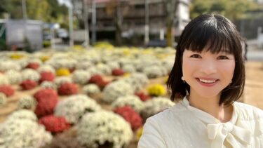 見る人の心弾む『ざる菊』に込められた作り手の思い（2023.12.02）