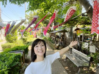 子ども達、こいのぼり、青葉区の豊かな自然に、ありがとう！(2024.05.06)