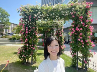 横浜市の花『バラ』を楽しむ週末を！(2024.05.18)