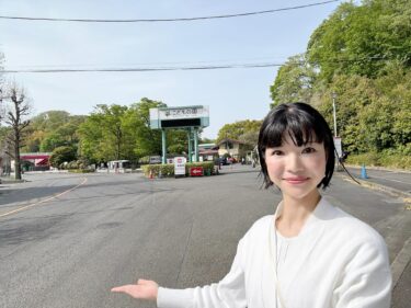 こどもの日、こどもの国に続く道路の安全を守ります！(2025.5.5)