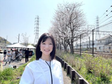 予算議会で注目を浴びた、奈良川桜フェスティバル！(2026.3.30)
